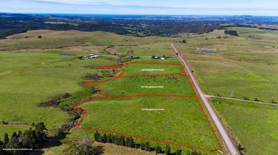 /international/nz/540-542-and-570-mangakaretu-road-kerikeri-surrounds-far-north-380066081033/