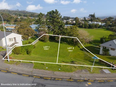 /international/nz/176-mungavin-avenue-cannons-creek-porirua-city-380066174365/