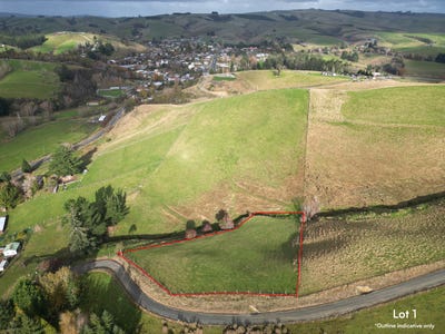 /international/nz/65-gabriels-gully-road-lawrence-clutha-380066101743/