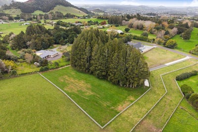 /international/nz/kamo-whangarei-380066091180/
