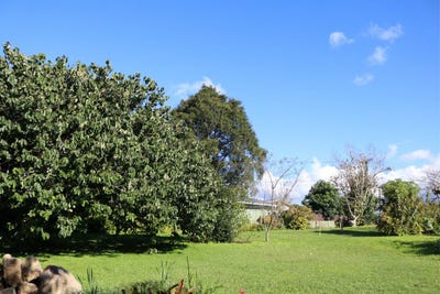 /international/nz/48-cairnfield-road-kensington-dunedin-city-380066180301/