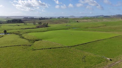 /international/nz/194-toia-road-okaihau-far-north-380066076136/