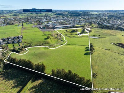 /international/nz/tuakau-franklin-380066148685/