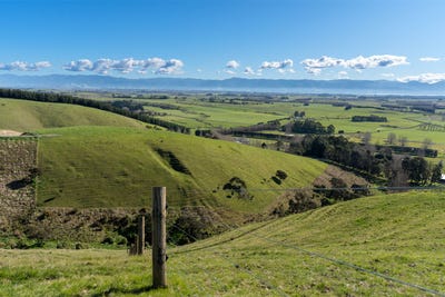 /international/nz/24-sinclair-way-martinborough-south-wairarapa-380066083341/