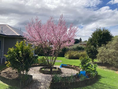 /international/nz/20-paraekaretu-street-hunterville-rangitikei-380066103316/