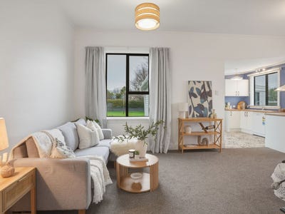 /international/nz/23-dryden-street-milton-clutha-380066096723/