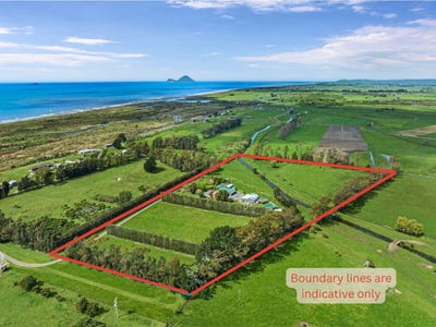 /international/nz/matata-whakatane-380066093557/