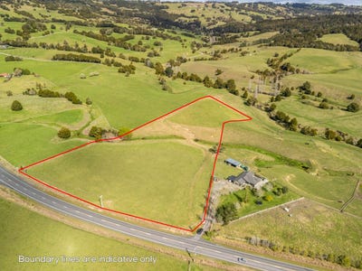 /international/nz/1483-state-highway-1-okaihau-far-north-380066086092/