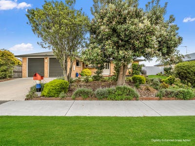 /international/nz/14-clifford-place-amberley-hurunui-380066124707/