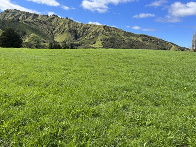 /international/nz/lot-6-632-mangaotuku-road-douglas-stratford-380066085322/