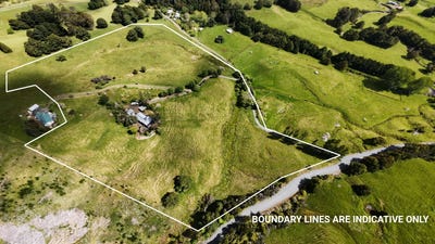 /international/nz/kaeo-far-north-380066111907/