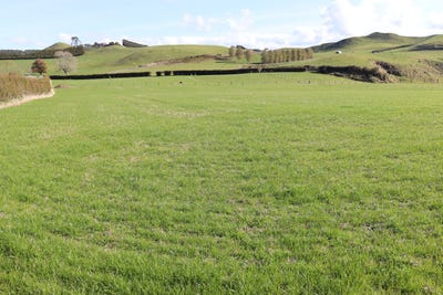 /international/nz/eltham-south-taranaki-380066180148/