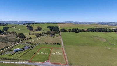/international/nz/155-and-157-te-maire-road-featherston-south-wairarapa-380066076698/
