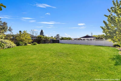 /international/nz/motueka-tasman-380066117881/