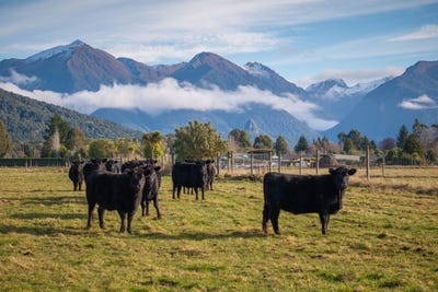 /international/nz/70-hillside-manapouri-road-manapouri-southland-380066085115/