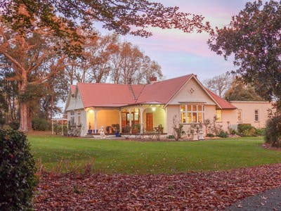 /international/nz/410-orari-station-road-geraldine-timaru-380066177410/