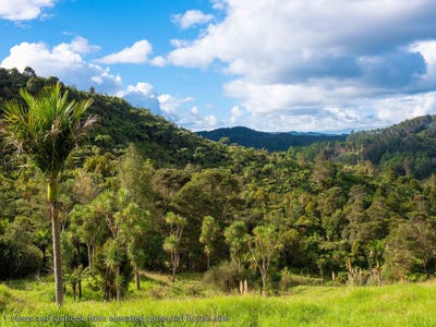 /international/nz/542-duddy-road-opononi-far-north-380066076594/