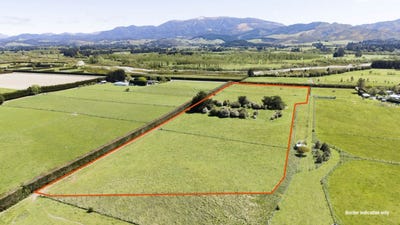 /international/nz/909-woodstock-road-oxford-waimakariri-380066081508/