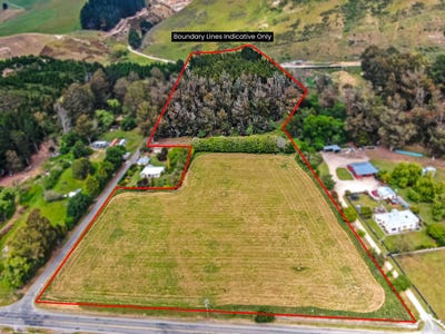 /international/nz/oamaru-waitaki-380066079632/