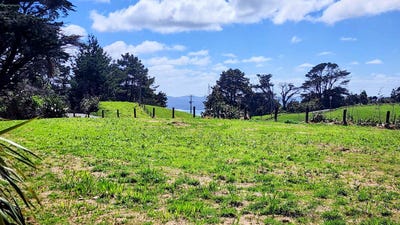 /international/nz/awhitu-franklin-380066078078/