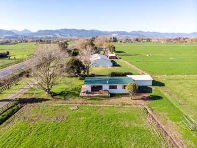 /international/nz/2080-state-highway-25-turua-hauraki-380066079199/