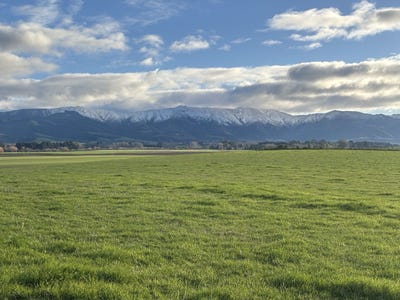 /international/nz/476-hook-school-road-makikihi-waimate-380066108045/