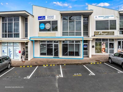 /international/nz/pakuranga-manukau-city-380066128375/