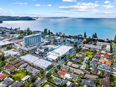 /international/nz/3-moenui-avenue-orewa-rodney-380066180562/