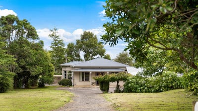/international/nz/kauri-road-onewhero-waikato-380066085122/