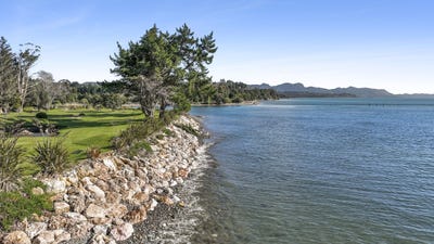 /international/nz/1232-takaka-collingwood-highway-onekaka-tasman-380066107592/