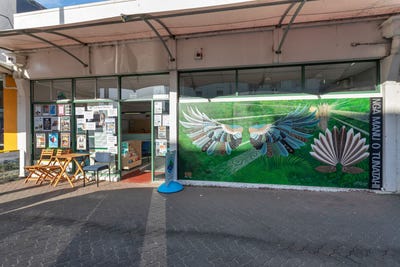 /international/nz/dargaville-kaipara-380066151508/