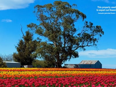 /international/nz/0-willowbridge-road-waimate-canterbury-380066082953/