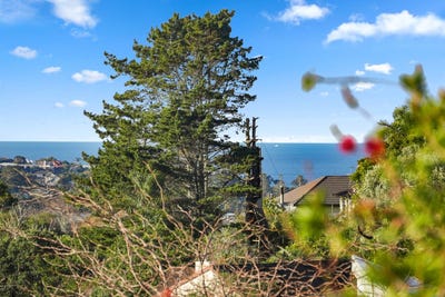 /international/nz/91-langana-avenue-browns-bay-north-shore-city-380066168783/