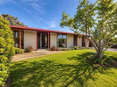 /international/nz/te-aroha-matamata-piako-380066181085/