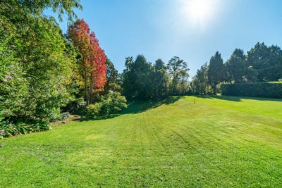 /international/nz/silverstream-upper-hutt-city-380066121689/