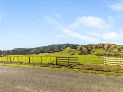/international/nz/levin-horowhenua-380066079844/