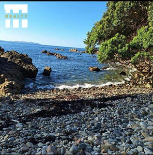 /international/nz/303-waiaua-road-mangonui-far-north-380066084661/