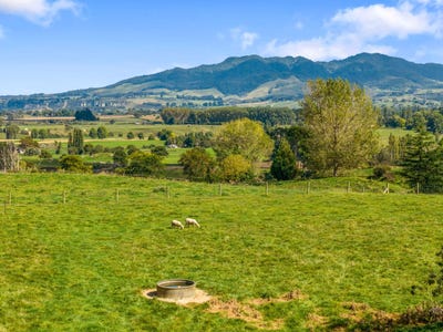/international/nz/putaruru-south-waikato-380066105332/