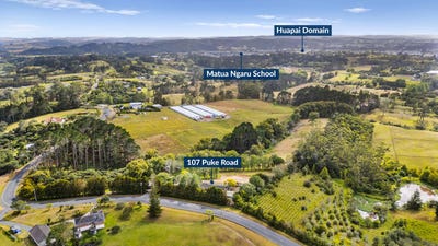 /international/nz/107-puke-road-kumeu-rodney-380066118988/