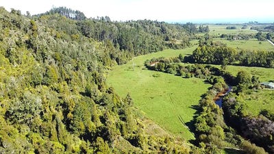 /international/nz/karamea-buller-380066106578/