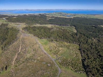 /international/nz/makarau-rodney-380066078257/