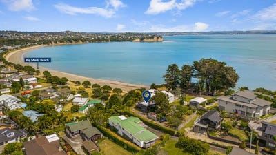 /international/nz/manly-rodney-380066106140/