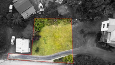 /international/nz/maoribank-upper-hutt-city-380066121243/