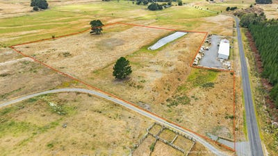 /international/nz/bulls-rangitikei-380066090294/