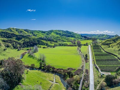 /international/nz/dp-428308-wharerata-road-muriwai-gisborne-380066079466/