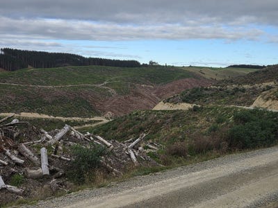 /international/nz/ikawai-waimate-380066076014/
