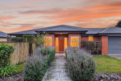 /international/nz/dallington-christchurch-city-380066170256/