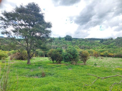 /international/nz/herbert-waitaki-380066075892/