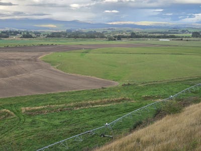 /international/nz/maheno-waitaki-380066079682/