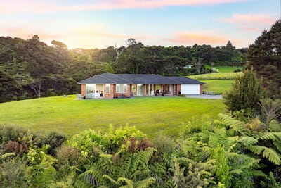 /international/nz/matakana-rodney-380066112343/